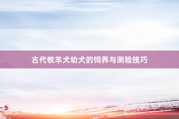 古代牧羊犬幼犬的饲养与测验技巧