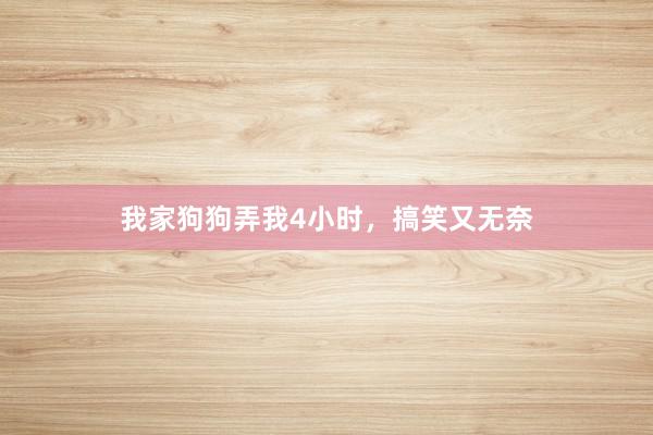 我家狗狗弄我4小时，搞笑又无奈